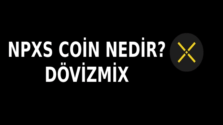 Pundi X (NPXS) Coin Nedir? Hangi Borsada? Yorum, Grafik ve Geleceği.